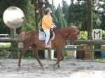 DH000082_convert_20130712184624.jpg