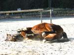IMG_0234_convert_20140330224037.jpg
